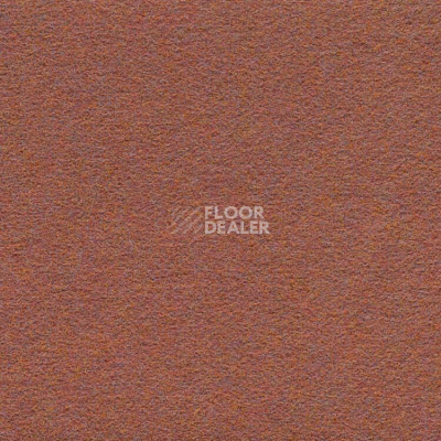 Ковролин Finett Dimension p 509204 – f 509104 фото 1 | FLOORDEALER